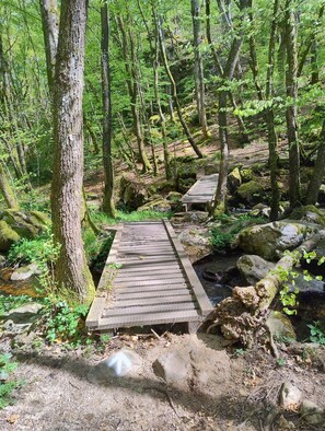 Un puente de madera en un área boscosa, con árboles y rocas.