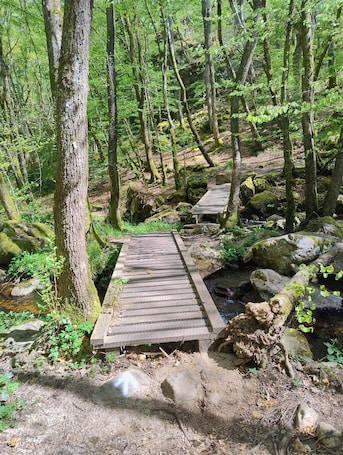 Property grounds. Welcoming House in the Heart of Morvan Natural Park