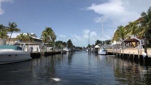Un puerto deportivo con barcos amarrados, palmeras bordeando el agua y edificios en la orilla.