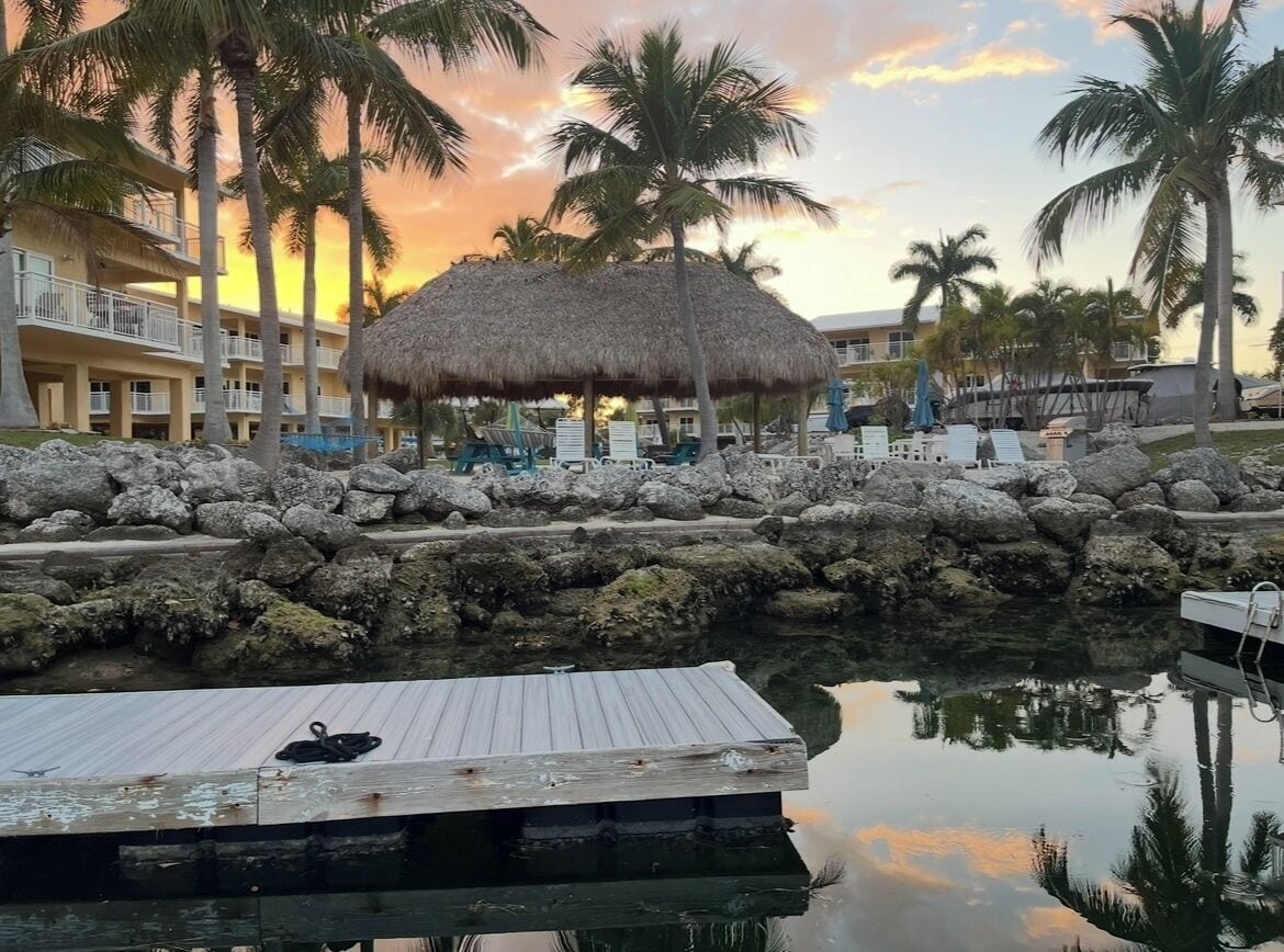 テラス / パティオ