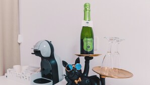 Dobbeltrom – classic | Sengetøy av topp kvalitet, dundyner, memory foam-senger og minibar