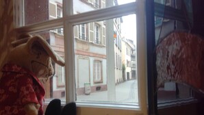 Un os de peluix assegut a peu d'una finestra amb vista a un carrer.