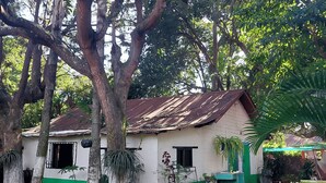 A rustic house with a green and white exterior, surrounded by lush trees and a small garden area with a round table and benches. - El Aguacatal (Panajachel)