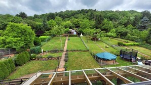 Une propriété résidentielle dotée d’un jardin bien entretenu, d’une petite maison et d’un trampoline.