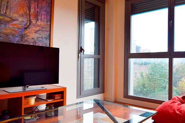 Basic Apartment | Living area | Flat-screen TV