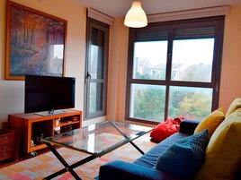 Apartamento básico | Zona de estar | Una televisión de pantalla plana