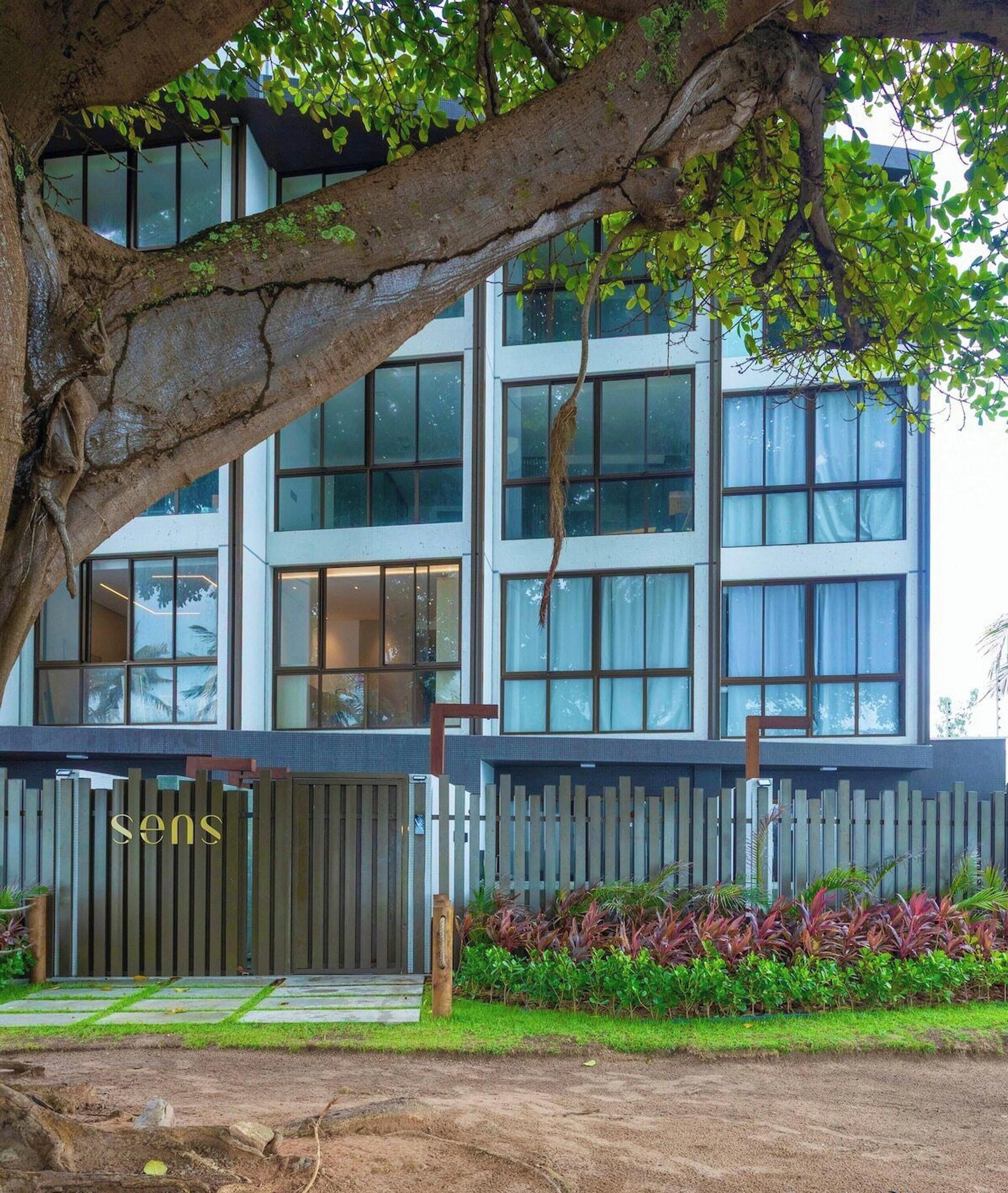 Classic Suite | Property grounds