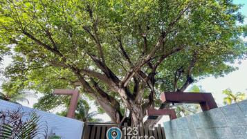 Área da propriedade