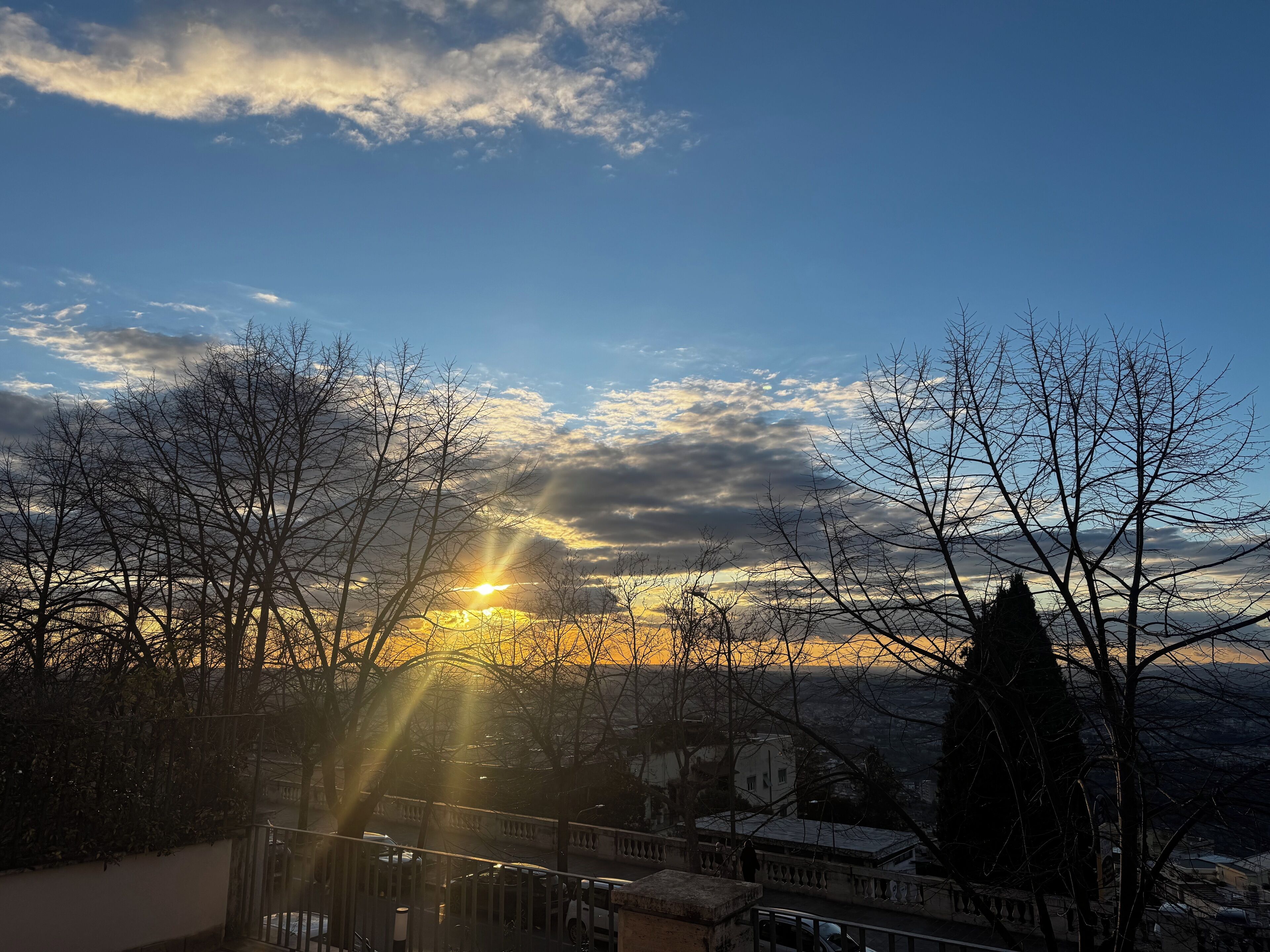 A sunset view with bare trees and a distant town.