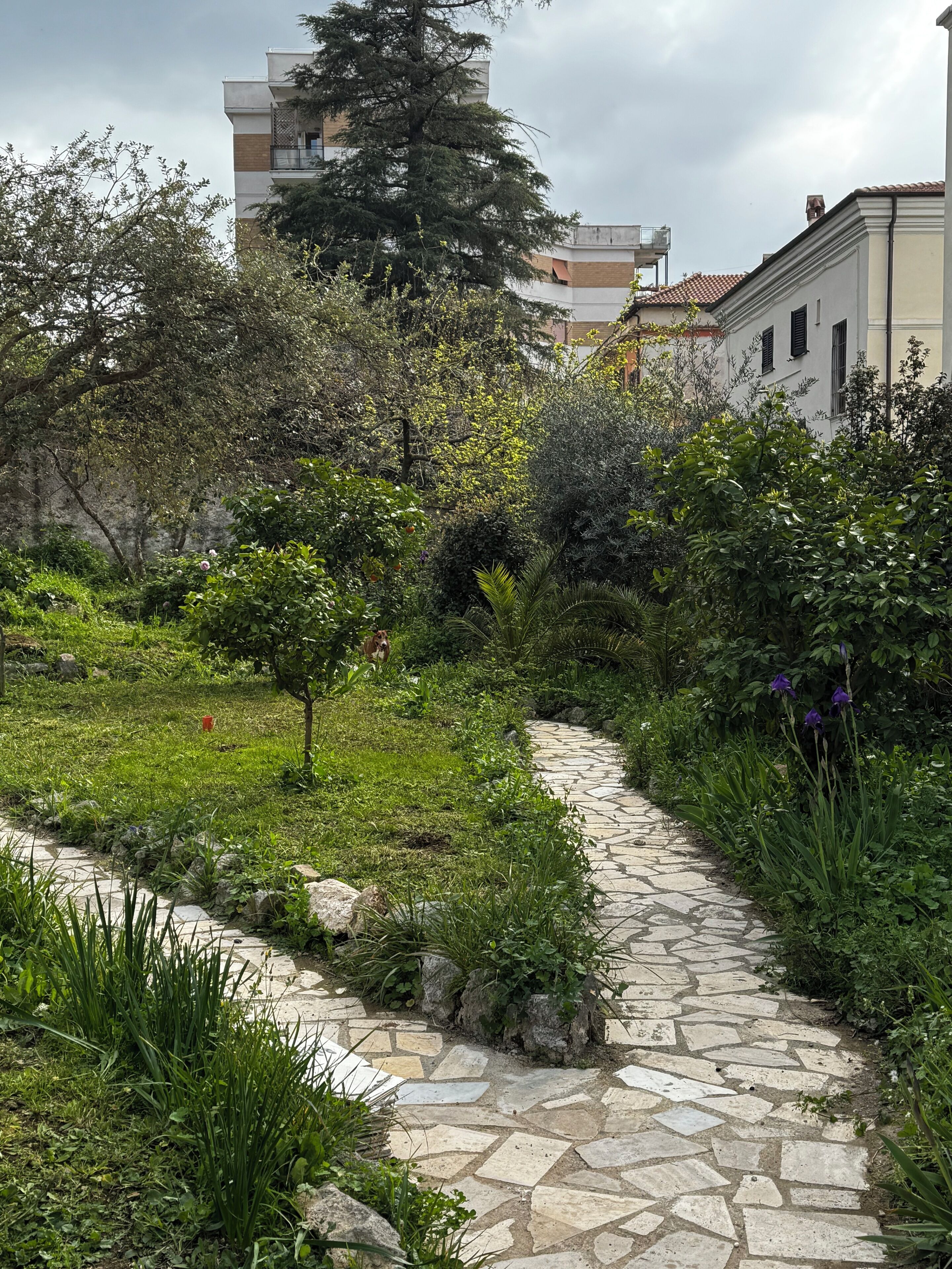 Giardino