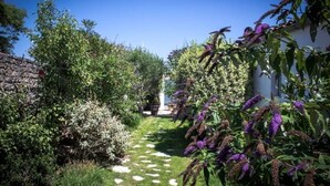 A garden pathway with lush greenery and flowering plants. - Artist's property/Pool 10X5/garden orchard (Rivedoux-Plage)