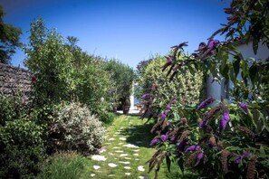 Um caminho no jardim com vegetação exuberante e plantas floridas.