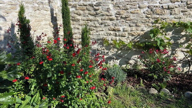 Eine Steinmauer mit weißen und roten Blumen in einem Gartenbereich.