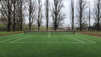 Een tennisbaan omringd door bomen.