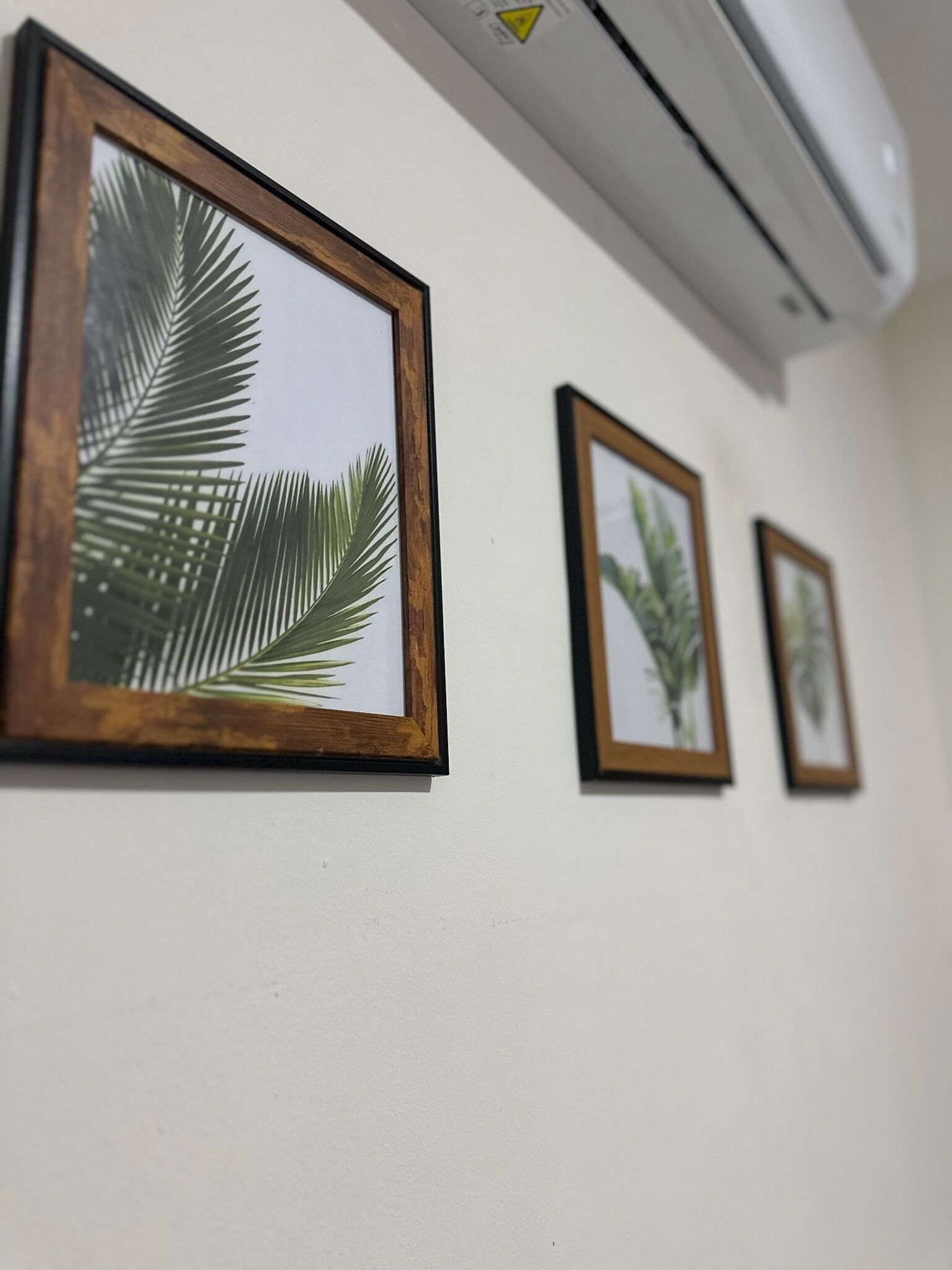 A wall with three framed botanical prints.