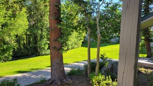 Un jardí ben cuidat amb un camí empedrat, diferents arbres i un prat verd.
