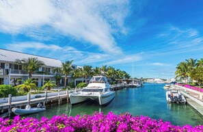 A marina with boats docked, a building with a white facade, and palm trees. - YACHT CLUB C3 - Contemporary One Bedroom Garden Level Condo over the Marina (Providenciales)