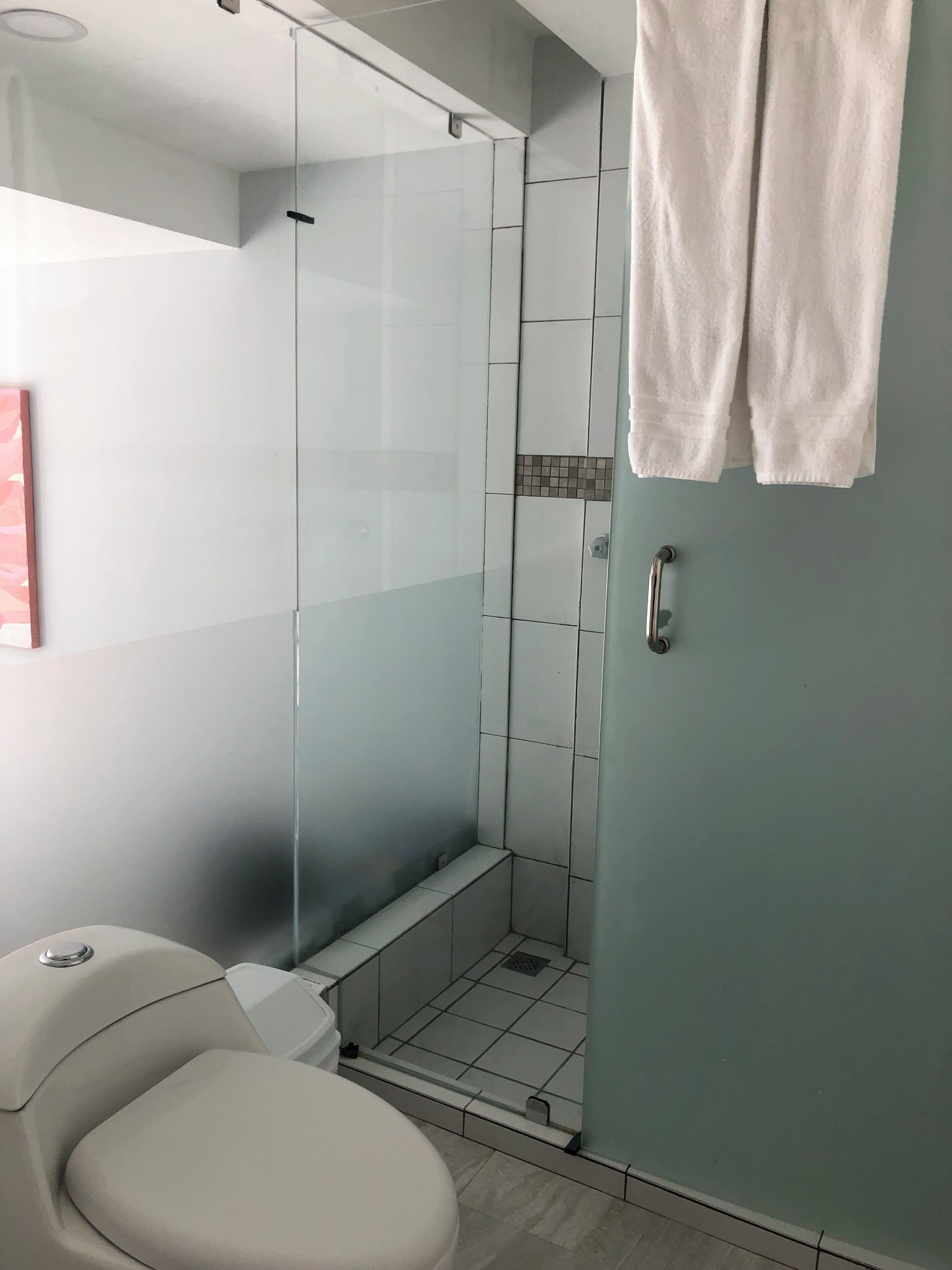 Une salle de bain moderne avec une douche à parois de verre, des toilettes et un porte-serviettes.