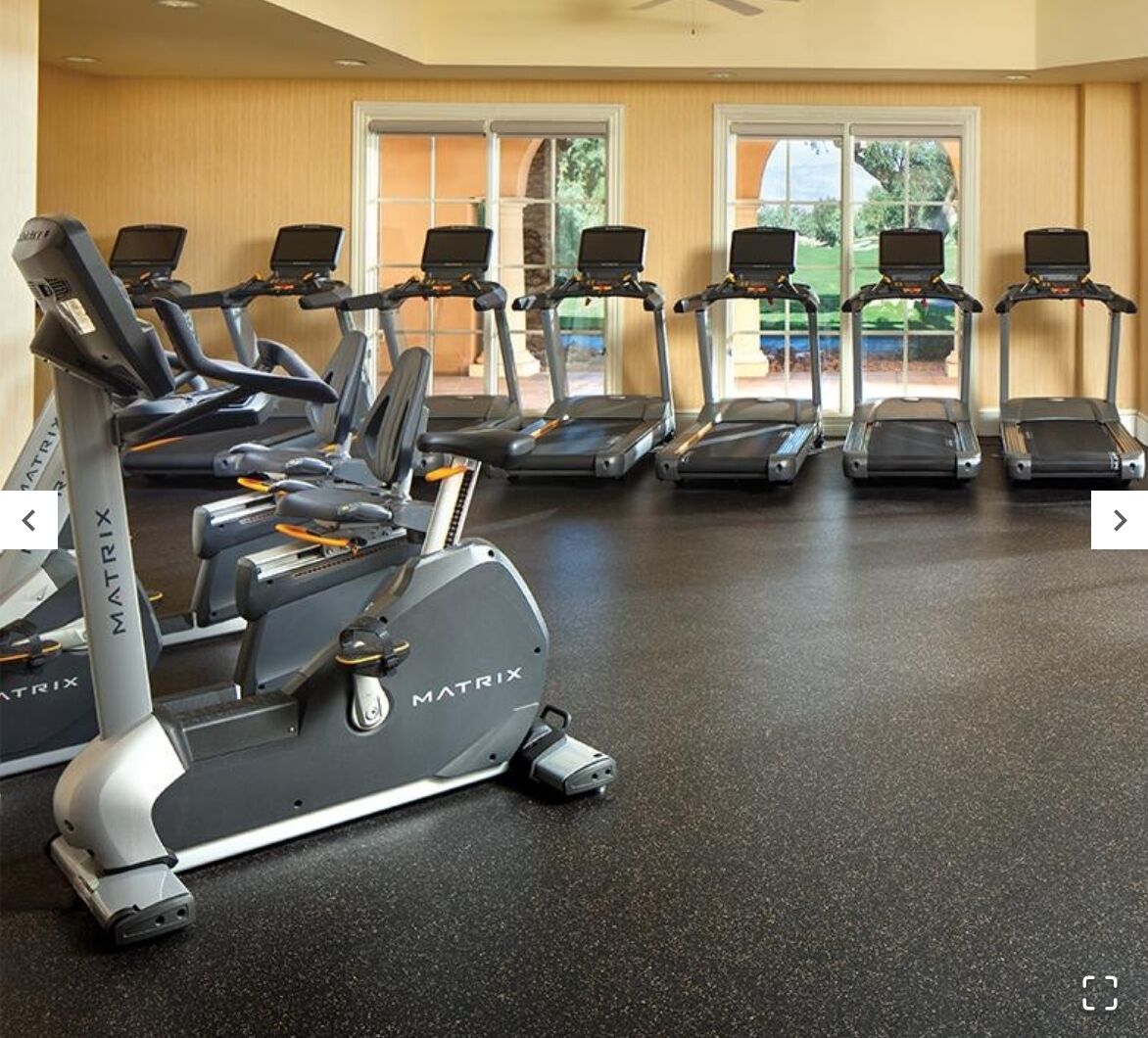 Un gimnasio con cintas de correr y una bicicleta estática, con amplias ventanas que dejan entrar luz natural.