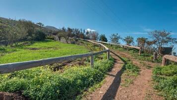 House, 2 Bedrooms, Smoking | Exterior