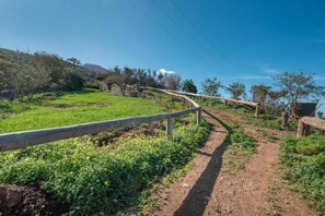 House, 2 Bedrooms, Smoking | Exterior - Charming Farmhouse Retreat in Santa Ursula, Tenerife (Santa Ursula)