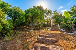 A garden pathway with steps leading to a house surrounded by lush greenery. - Charming Farmhouse Retreat in Santa Ursula, Tenerife (Santa Ursula)