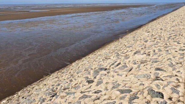 A beach with a clear sky and a sandy shoreline.