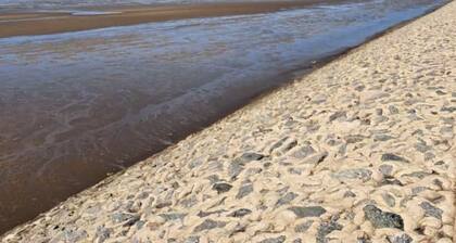 Barrierefreier Bungalow, Sackgassenlage, Neubau, Wallbox, haustierfreundlich