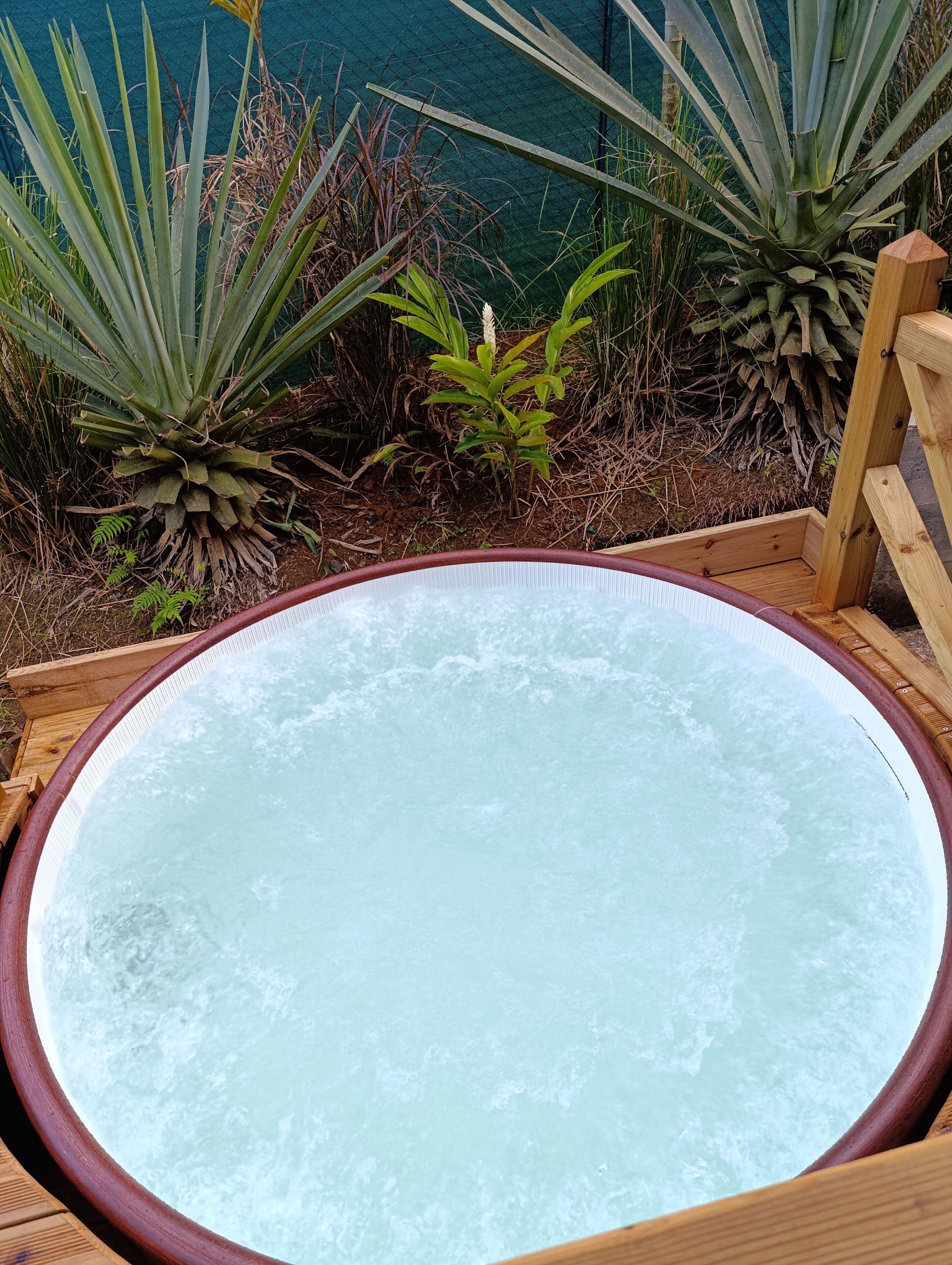 A hot tub surrounded by plants and a wooden deck.