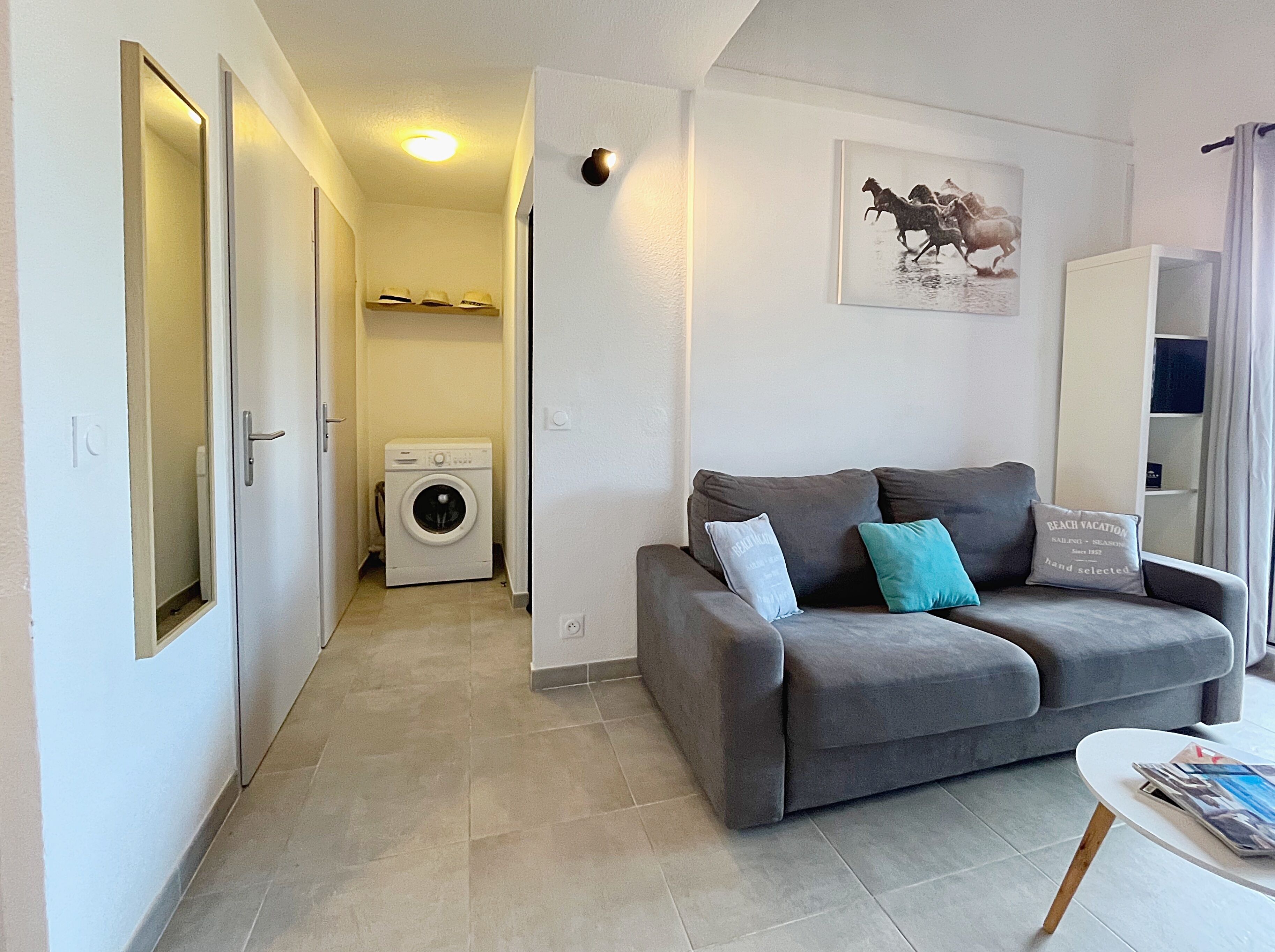 Un espace de vie compact comprenant un canapé gris, un lave-linge et un tableau encadré accroché au mur.