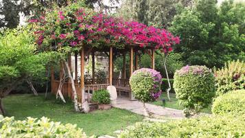 Terrein van de accommodatie