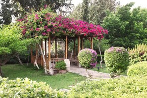 Terrein van de accommodatie