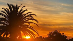 A sunset with silhouettes of palm trees and a clear sky. - Allure- Your Auckland Wellbeing Getaway (Hobsonville)