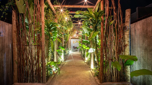Un sendero bordeado por bambú y plantas tropicales, que lleva a un edificio de fachada de madera.
