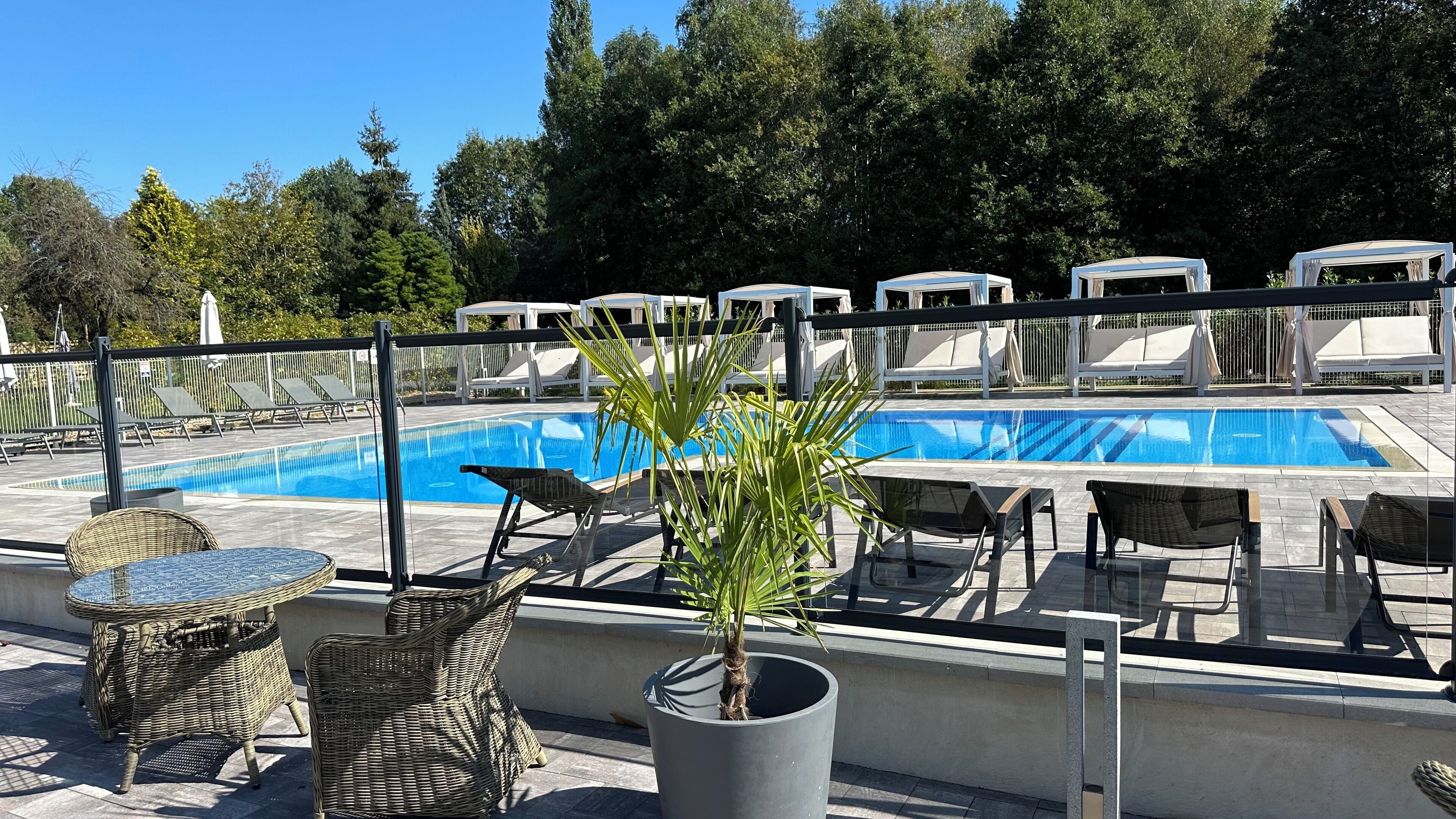 Zona de piscina al terrat amb gandules, taula i una planta en test.