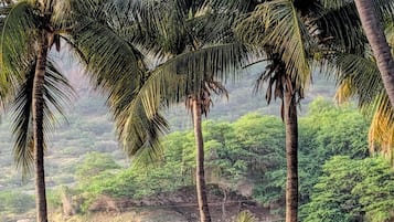 Beach nearby, white sand