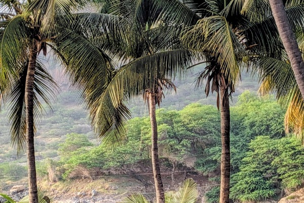 Beach nearby, white sand
