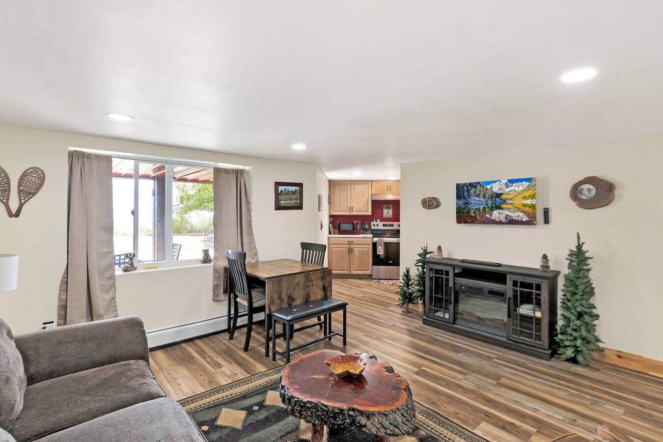 Smart TV, fireplace, books