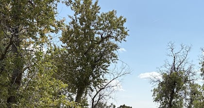 Grand Mesa Retreat with Hot Tub and Mountain View