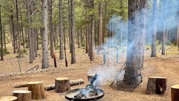 Enceinte de l’hébergement