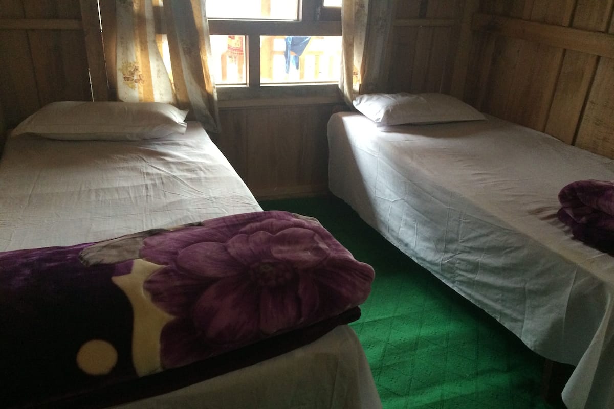 A room with two beds, each with white linens and pillows. The room has wooden walls and a green carpet.