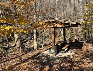 Outdoor dining - Relax at a pristine home a short walk from the center of historic Tryon ! (Tryon)