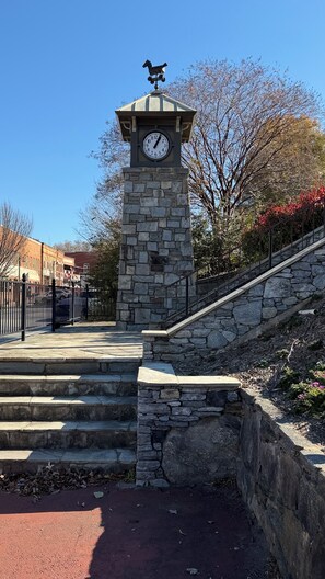 Property grounds - Relax at a pristine home a short walk from the center of historic Tryon ! (Tryon)