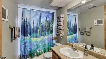 Hair dryer, towels, soap, toilet paper