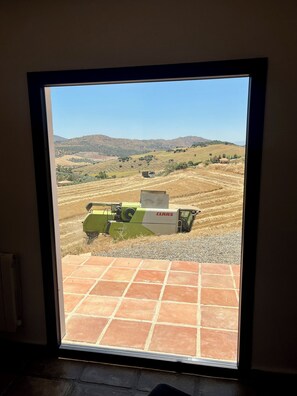 المنشأة من الداخل