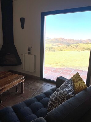 Televisión y chimenea