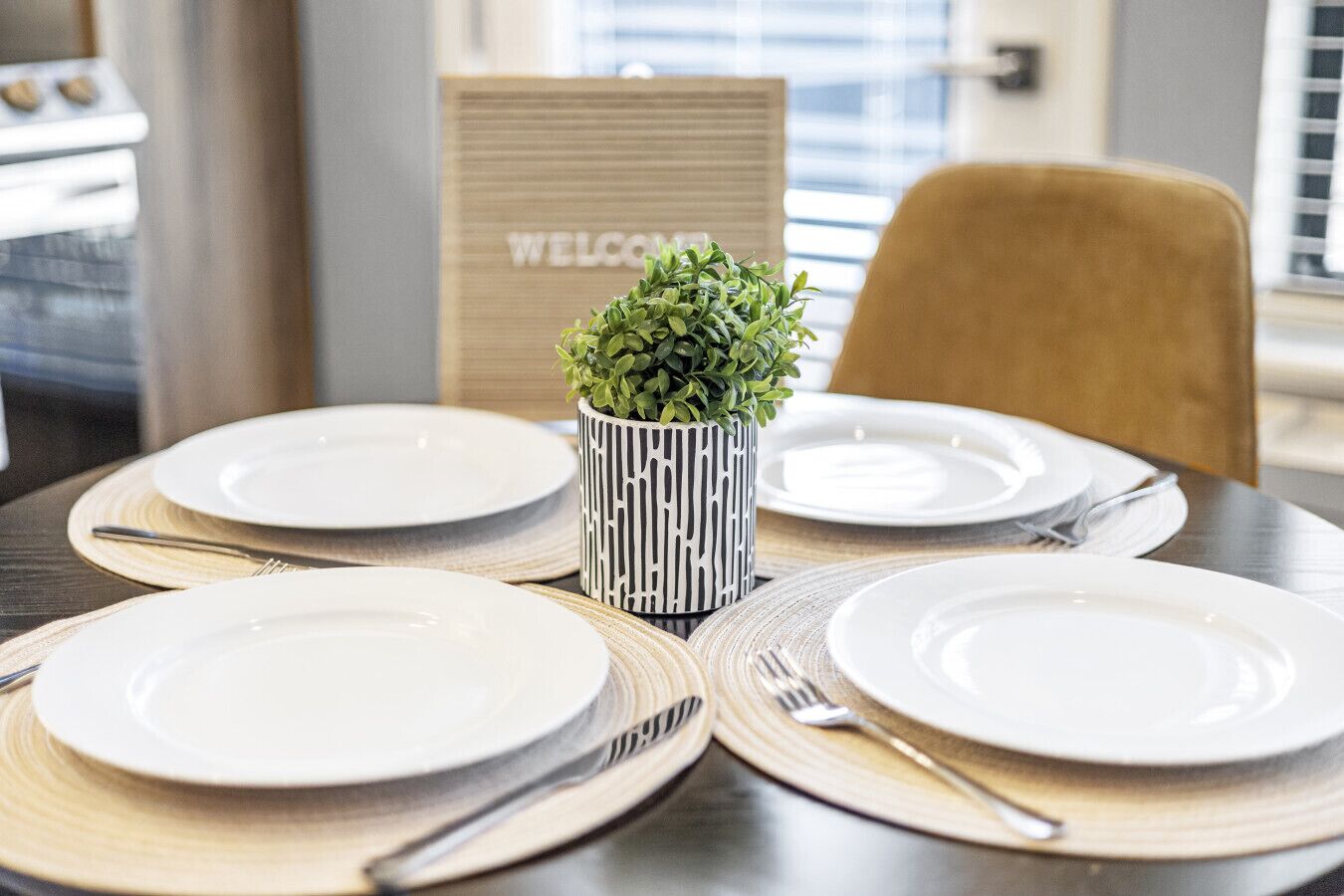 A dining table set with white plates, cutlery, and a small potted plant in a striped pot.