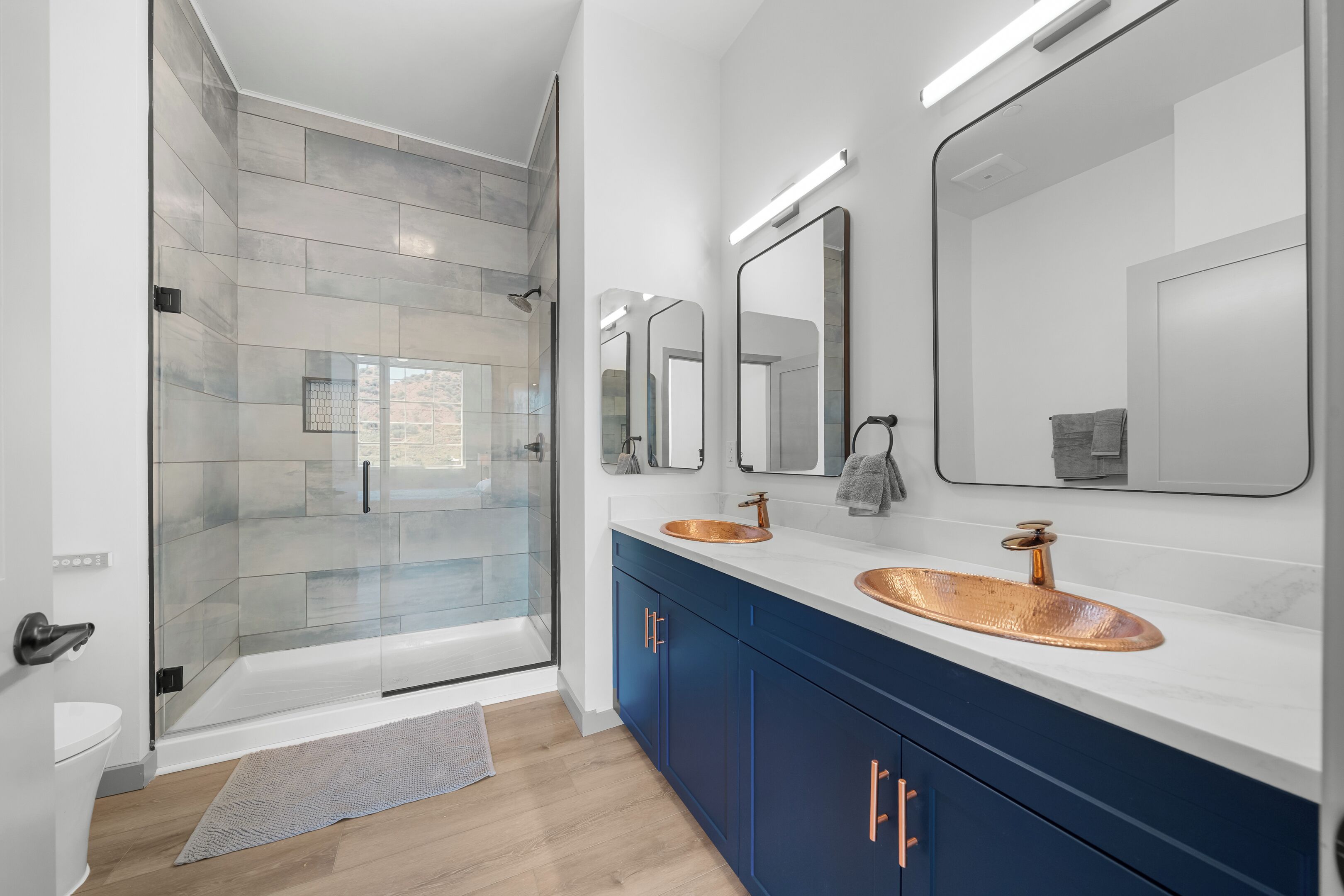 Shower, hair dryer, bidet, towels