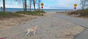 Peaceful Woods Getaway – Trails, Decks & Deer Blind Near Port Austin