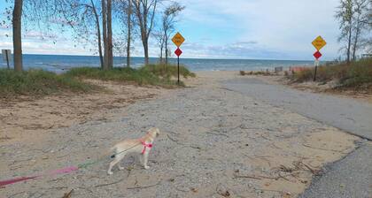 Peaceful Woods Getaway – Trails, Decks & Deer Blind Near Port Austin